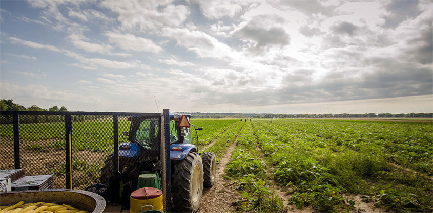 Accidentes de Agrícola y Agricultura en Texas